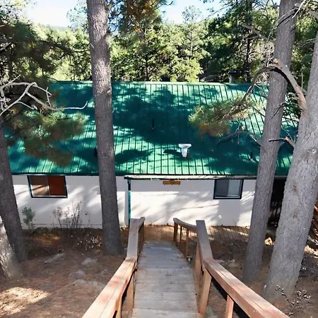 Cozy Bear Cabin Hotel